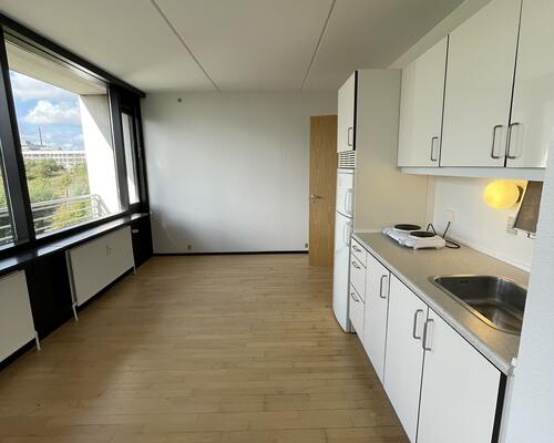 Fin 1. værelses tidsbegrænset lejlighed