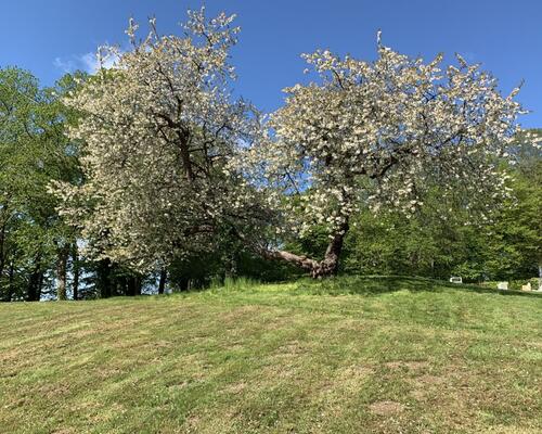 2 værelses lejlighed i Stouby