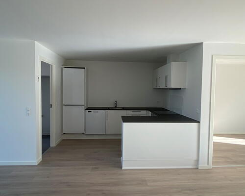 4 værelses hus i Ringe