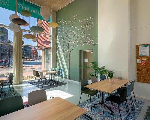 2 værelses lejlighed i Odense C