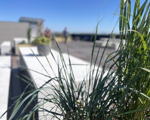 4 værelses lejlighed i Viborg