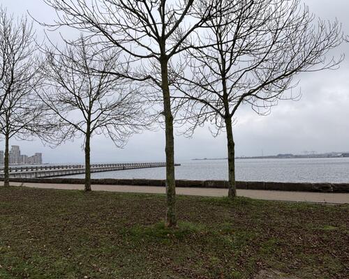 Lejlighed med udsigt til Øresund på Strandvejen | København Ø