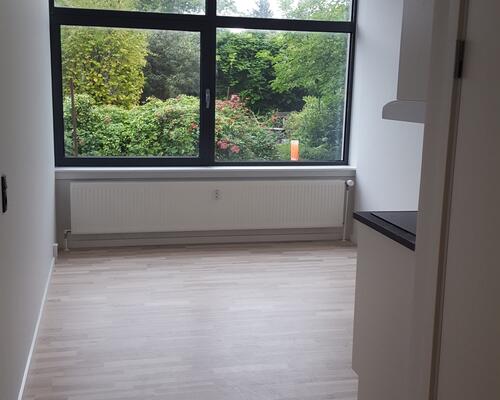 1-værelses lejlighed