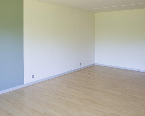 3 værelses hus i Frederikshavn