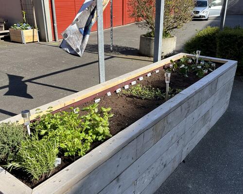 Hyggelig lejlighed i rolige omgivelser tæt på Aalborgs liv