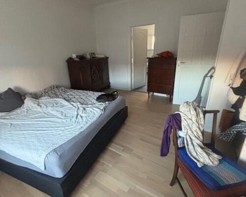 Stor 2. værelses lejlighed - nyere køkken og badeværelse