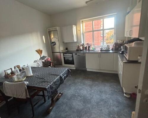 Stor 2. værelses lejlighed - nyere køkken og badeværelse