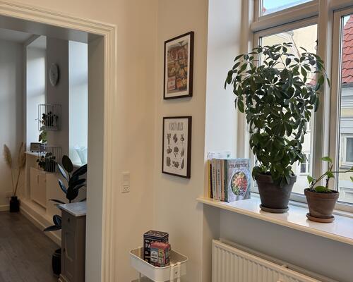 Flot Herskabelig 2. værelses lejlighed