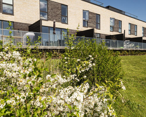 4 værelses rækkehus på 116 m²