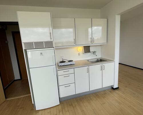 Fin 1. værelses tidsbegrænset lejlighed