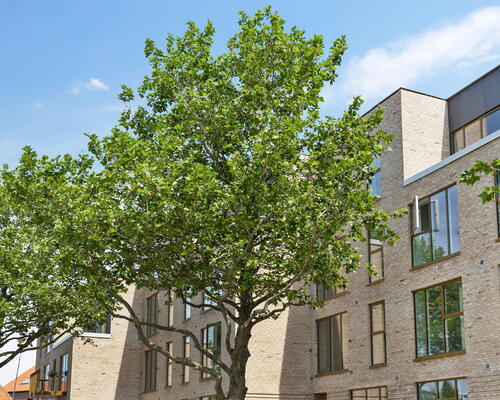 2 værelses lejlighed i Risskov