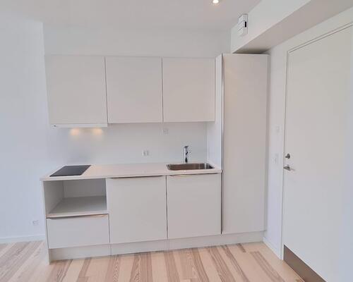 1 værelses lejlighed i Vejle