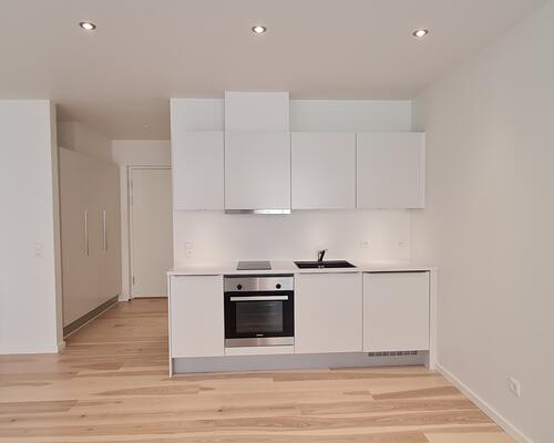 1 værelses lejlighed i Holstebro