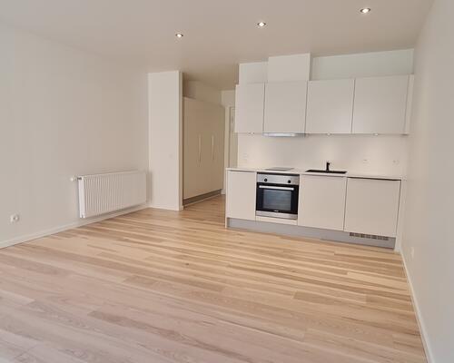 1 værelses lejlighed i Holstebro