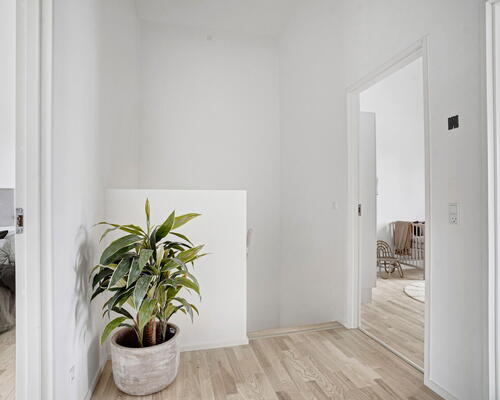 5 værelses lejlighed i Hørsholm