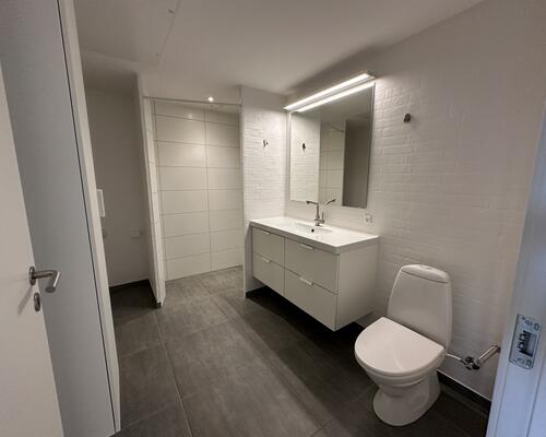 2 værelses lejlighed i Hedensted