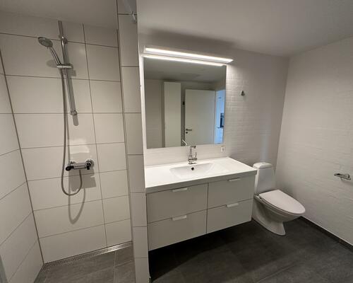 2 værelses lejlighed i Hedensted