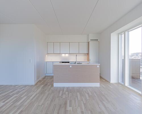 Rummelig 3-værelses lejlighed med 2 altaner