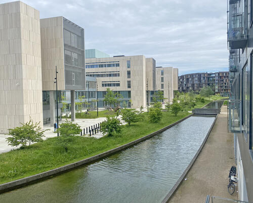 3 værelses lejlighed i København S