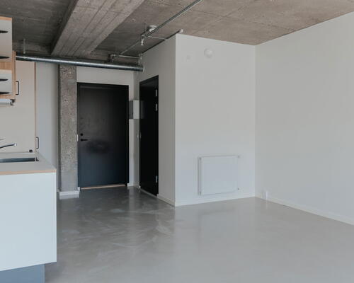 Lyst studio med plads til det hele