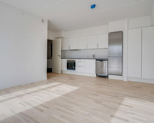 2 værelses lejlighed i Roskilde