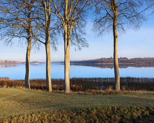 2 værelses lejlighed i Viborg