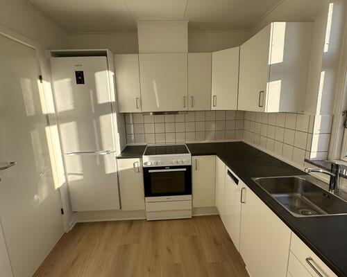 Nyistandsat 3 vær. lejlighed i centrum.