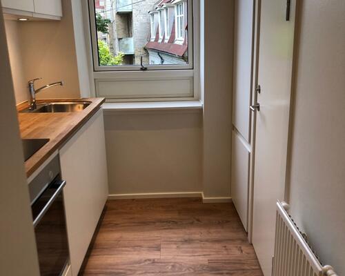 Lækker nyrenoveret 1-vær. i Vestbyen