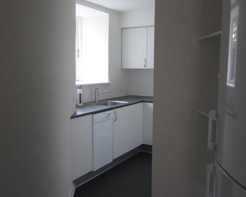 Lækker renoveret kælderlejlighed