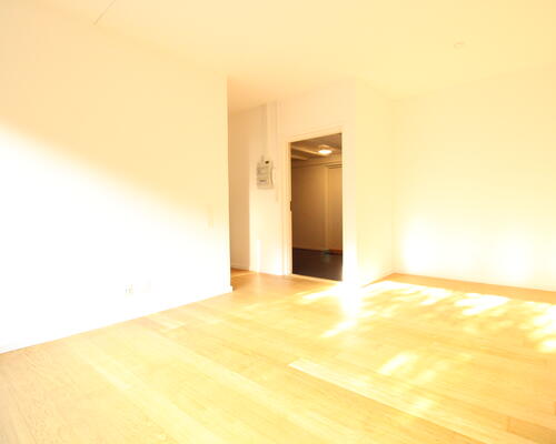 Rummelig 1-Værelses lejlighed i Brønshøj