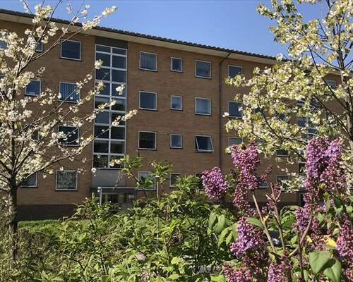 1 værelses lejlighed i Horsens