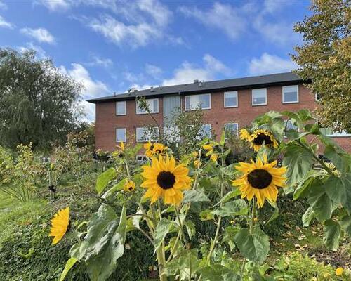 1 værelses lejlighed i Brædstrup