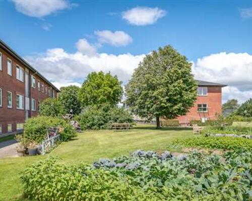 1 værelses lejlighed i Brædstrup