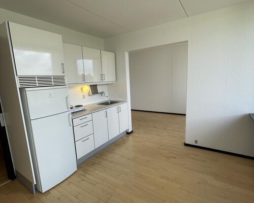 Fin 1. værelses tidsbegrænset lejlighed