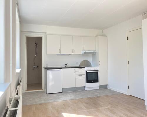 1 værelses lejlighed i Bjerringbro