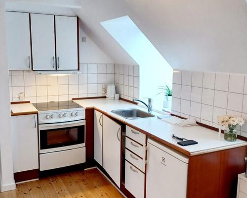 Hyggelig 1-værelses lejlighed på Frederiksbjerg.