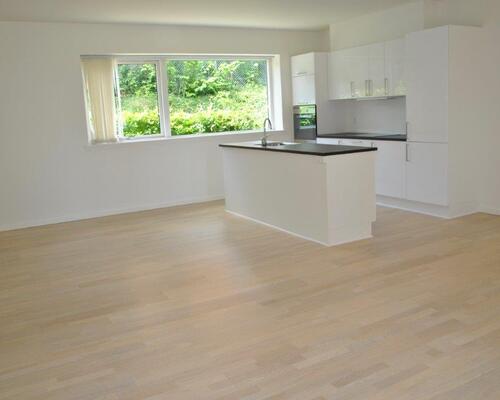 3 værelses lejlighed i Viborg