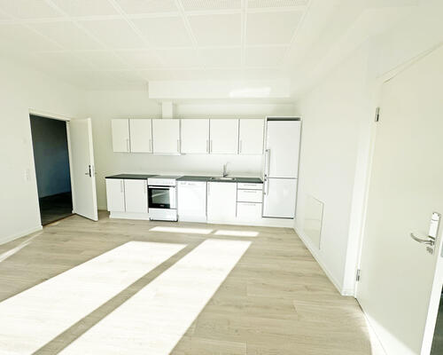 2 værelses lejlighed i Viborg