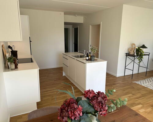 3 værelses lejlighed i Odense SV