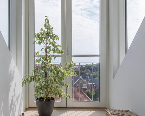 3 værelses lejlighed i København S