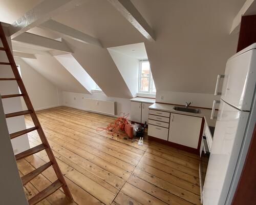 Hyggelig taglejlighed med hems