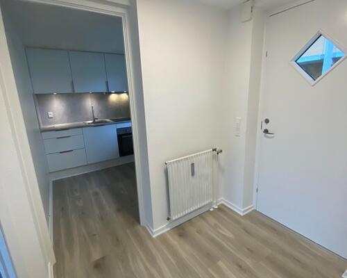 2-værelses lejlighed i stueetage med central beliggenhed.