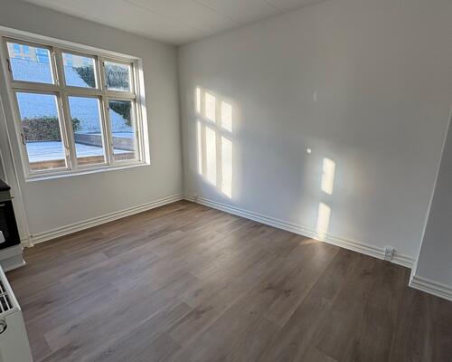 Nyrenoveret 3. værelses lejlighed