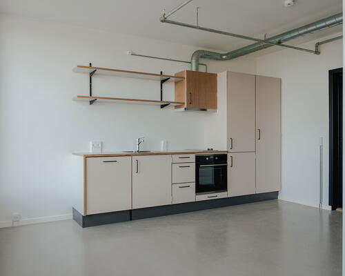 UNIKKE & RÅ STUDIOS PÅ AMAGERBRO MED FITNESS, TAGTERRASSE OG MEGET MERE!