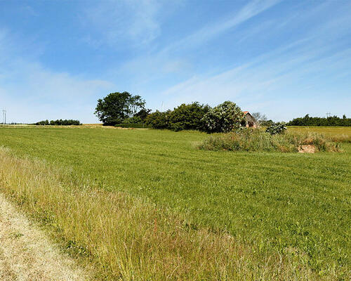 1 værelses hus i Thisted