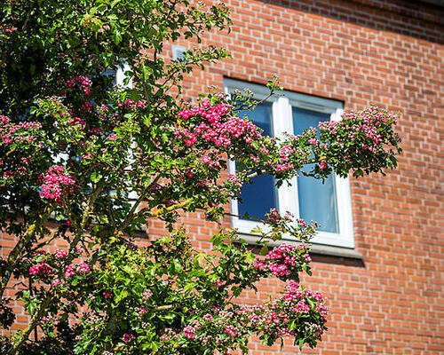3 værelses lejlighed i Holstebro
