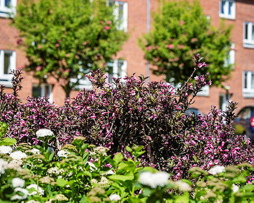 3 værelses lejlighed i Holstebro