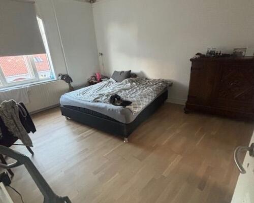 Stor 2. værelses lejlighed - nyere køkken og badeværelse