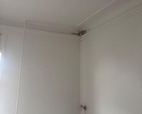 Stor 2. værelses lejlighed - nyere køkken og badeværelse