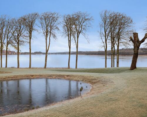 1 værelses lejlighed i Viborg